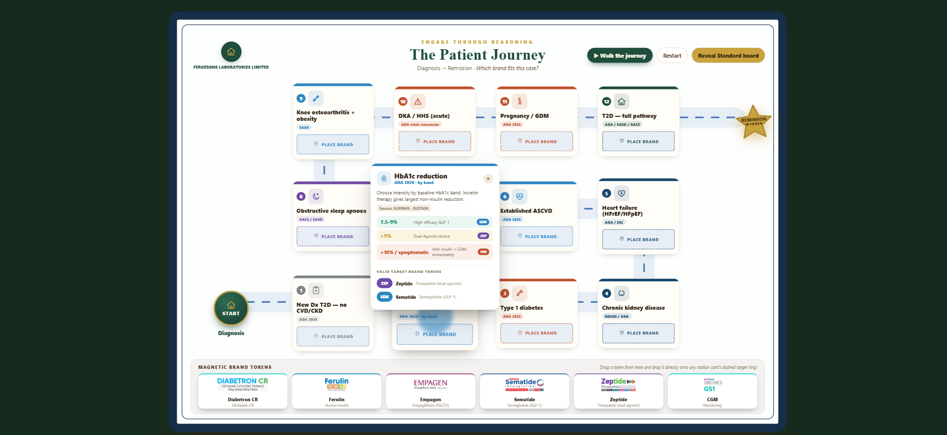 The Patient Journey board overview